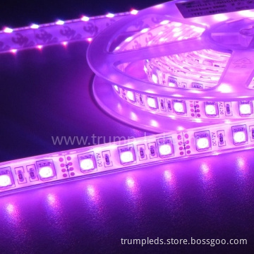 Waterproof 5000k 5050 Flexible LED Light